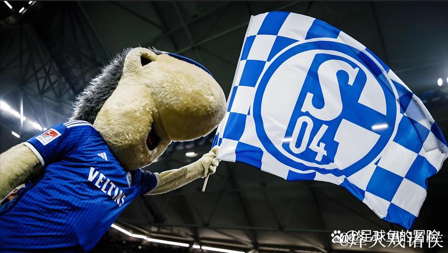 有望重返德甲,沙尔克提前一轮锁定德乙半程冠军 有望重返德甲,沙尔克提前一轮锁定德乙半程冠军